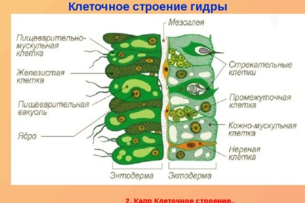 Кракен площадка vk2 top