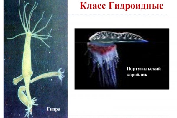 Кракен через браузер