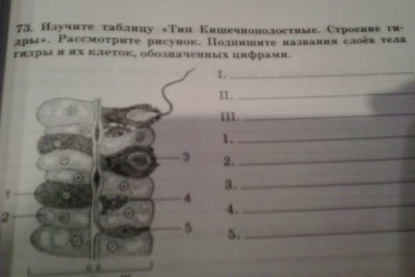 Даркнет ссылка