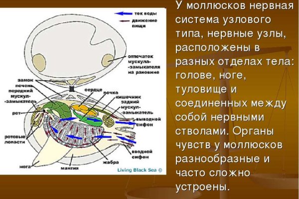 Кракен это что за сайт