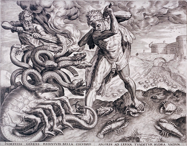 Kraken 5at